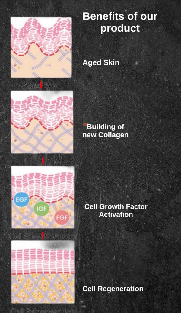 Fat Melting Injections - Image 5